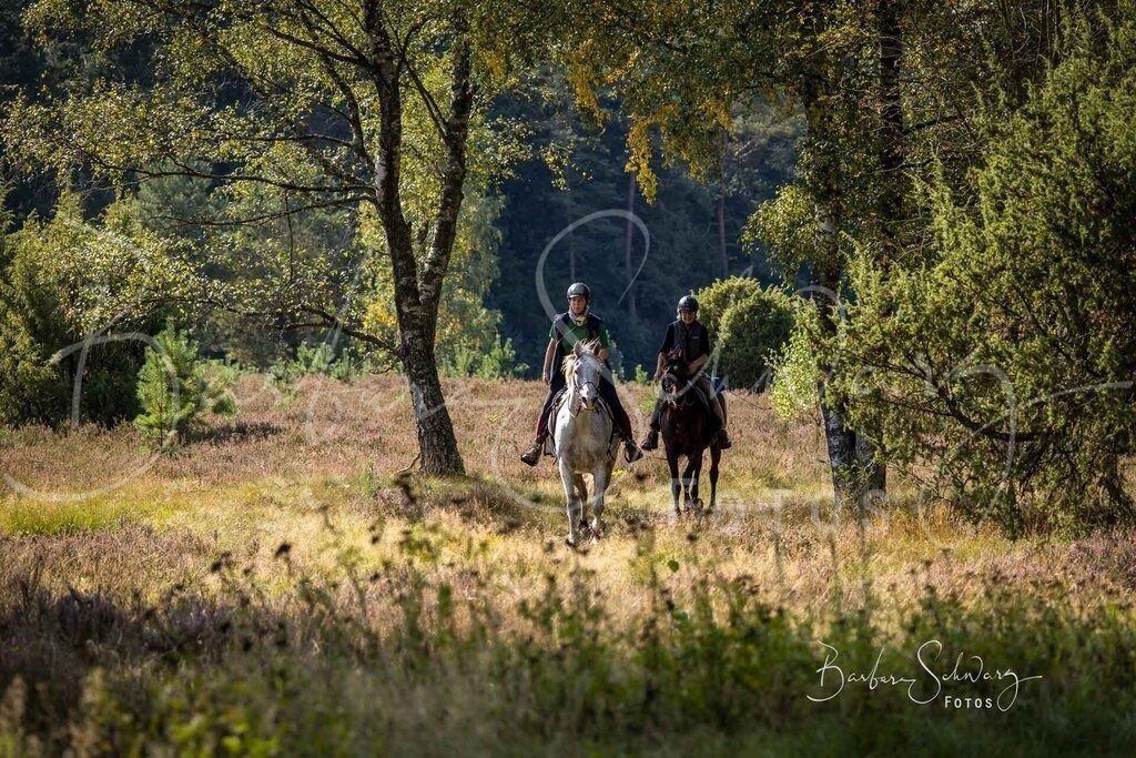 DdLH-WehlenerHeide_2025-09-20_152 | Fotografie, Veranstaltungs-Fotografie, Pferde-Fotografie, Landschafts-Fotografie, Reise-Fotografie - Realisiert mit Pictrs.com