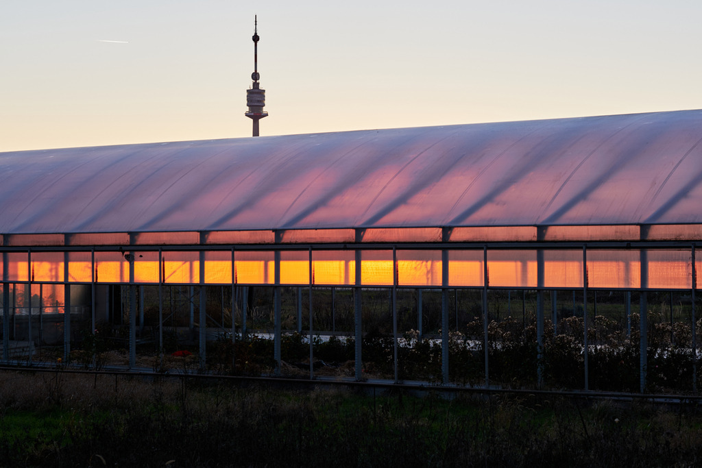 Gärtnerei Glashaus im Sonnenlicht mit Donauturm | Wien, Austria - December 31, 2020: Gärtnerei Glashaus im Sonnenlicht mit Donauturm. - Realisiert mit Pictrs.com