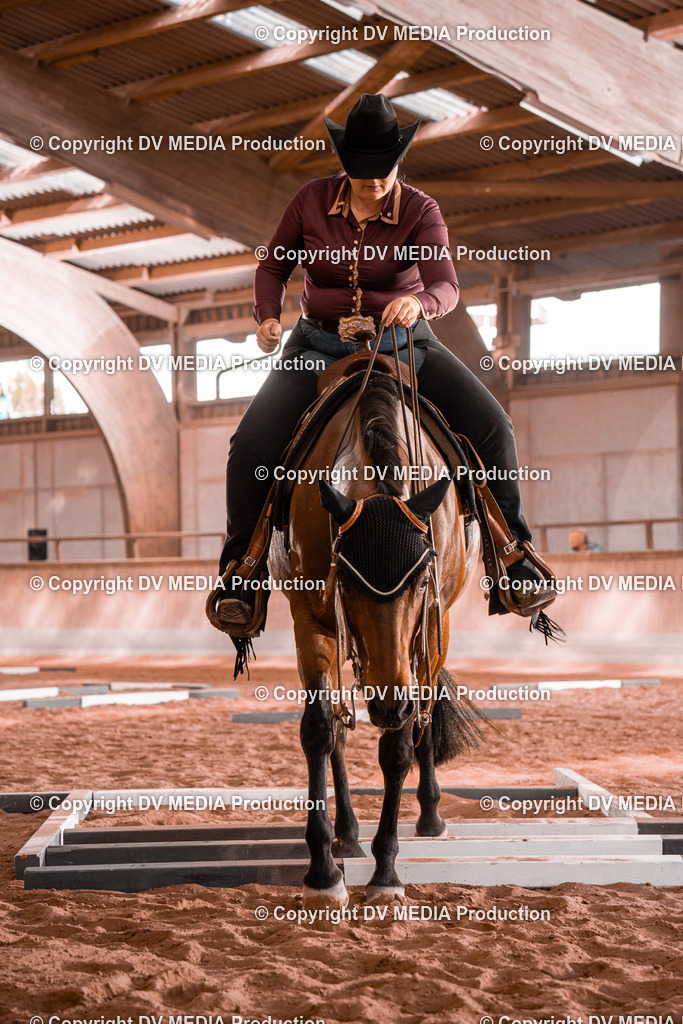 NE300133 | dv-media-shop - Realisiert mit Pictrs.com