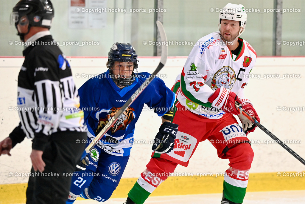 BST_9254 | hockey sports photos, Pressefotos, Sportfotos, hockey247, win 2day icehockeyleague, Handball Austria, Floorball Austria, ÖVV, Kärntner Eishockeyverband, KEHV, KFV, Kärntner Fussballverband, Österreichischer Volleyballverband, Alps Hockey League, ÖFB, 