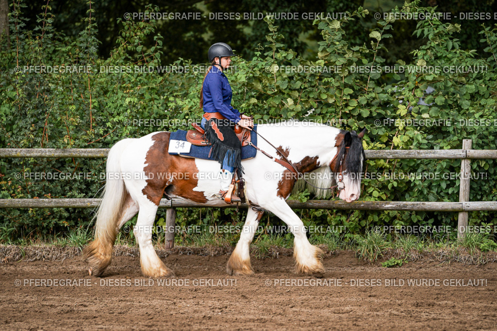 DSC09078 | Pferdegrafie