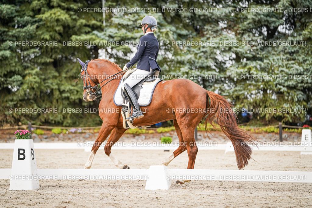 DSC09179 | Pferdegrafie