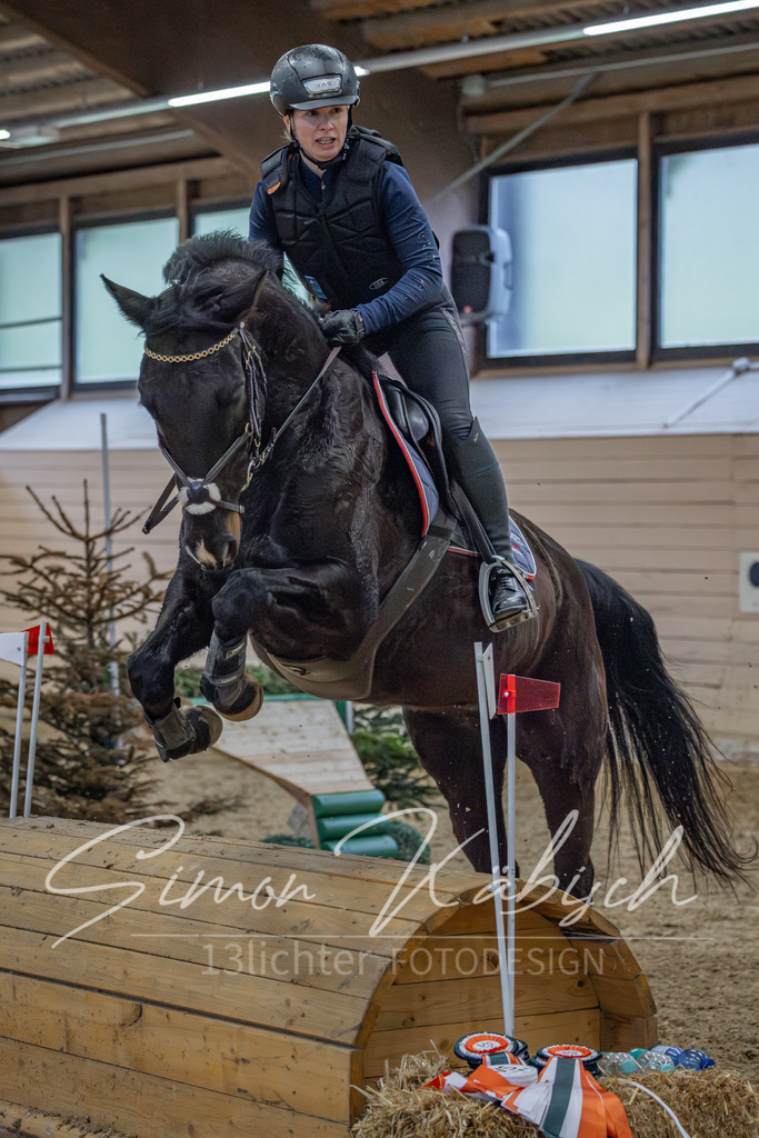20260222-_3LI1226 | Tierfotografie Pferde, Hunde, Katzen, Haustiere.
Turnierfotografie Reitturniere, Reiten, Springreiten, Dressur in Hanau, dem Main-Kinzig-Kreis und dem Rhein-Main- Gebiet um Frankfurt