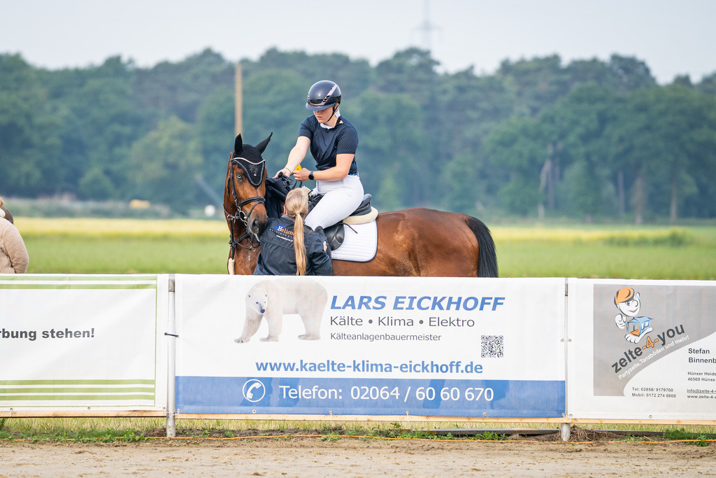 DSC08789 | Pferdegrafie