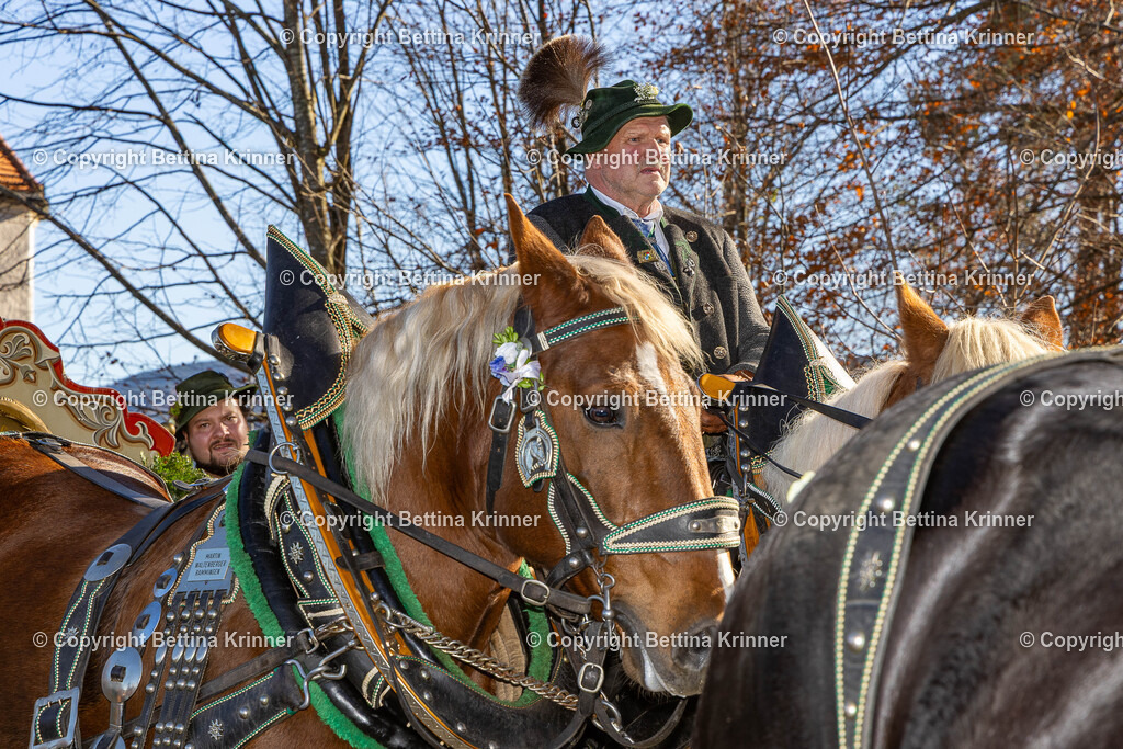 LBT25-1356 | foto-bettina-krinner - Realisiert mit Pictrs.com