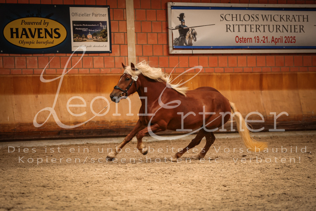 SaFL00480 | Leoni Ertmer Photography - Realisiert mit Pictrs.com