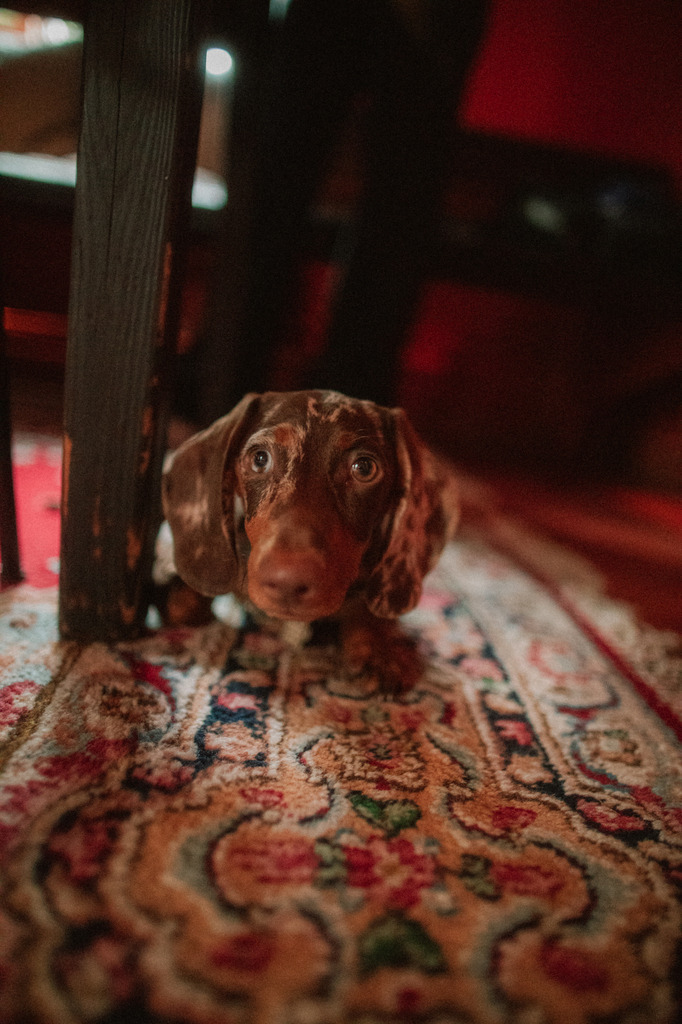 1M7A6426 | thismomentpictures - Realisiert mit Pictrs.com