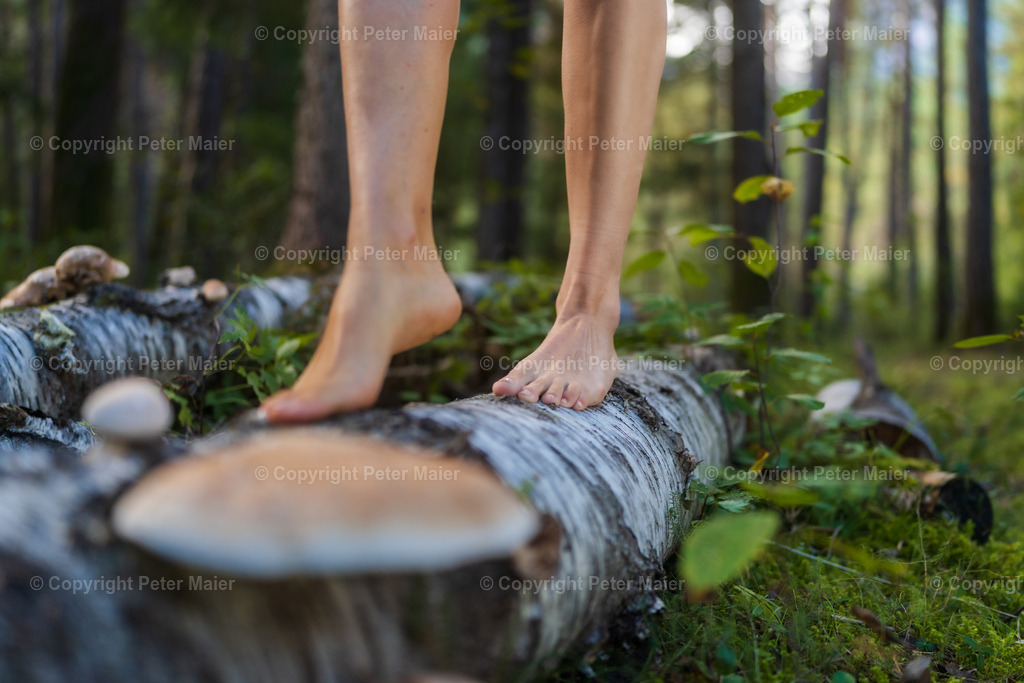 Talboden_Osttirol_Erlebnisraum_Wald_23_Peter_Maier-1148 | piet_flosse
