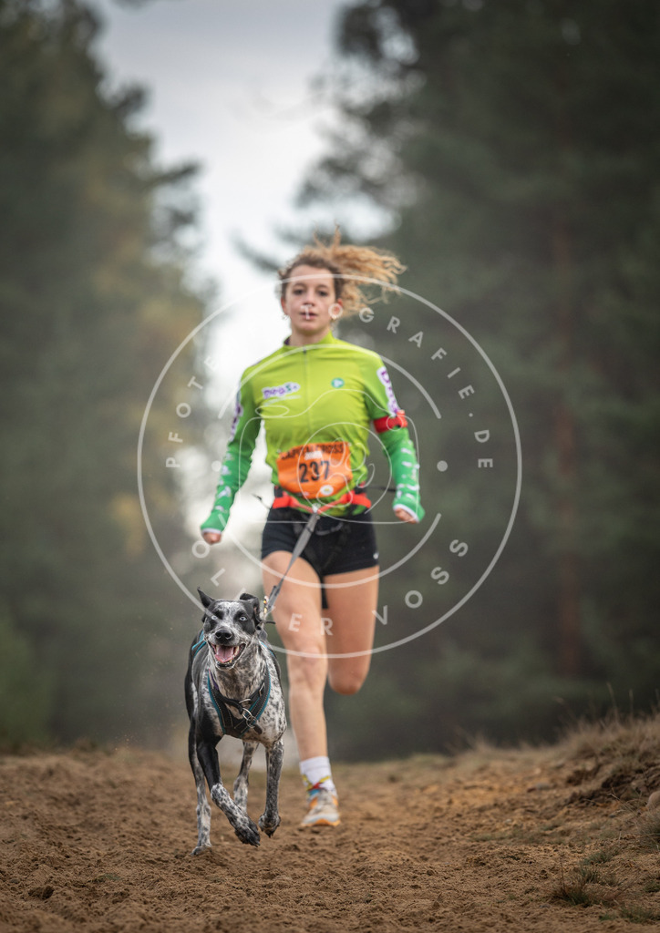 Pfotenfotografie_DV3A5590 | Hundefotografie, Tierfotograf, Pfotenfotografie, Fotoshooting Hund, Hunde Portrait, Hundesport, Hundeportraits, Heideshooting, Hunde, Sportfotograf, Hundefotograf, Turnierhundsport, THS,  - Realisiert mit Pictrs.com