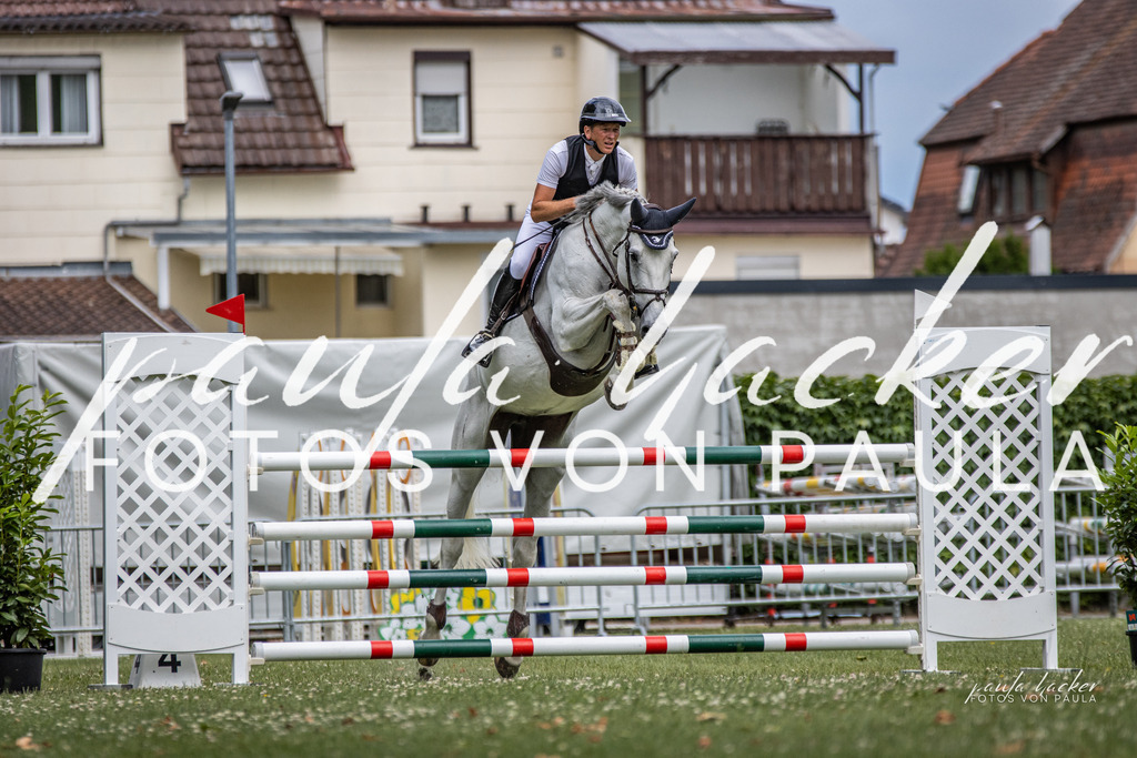 IMG_7226 | Erleben Sie dynamische Sport- und emotionale Tierfotografie in Süddeutschland mit Fotos von Paula. Spezialisiert auf Pferde- und Hundefotografie sowie Sportevents. Kontaktieren Sie mich für einzigartige und ausdrucksstarke Bilder Ihrer besonderen Momente.
