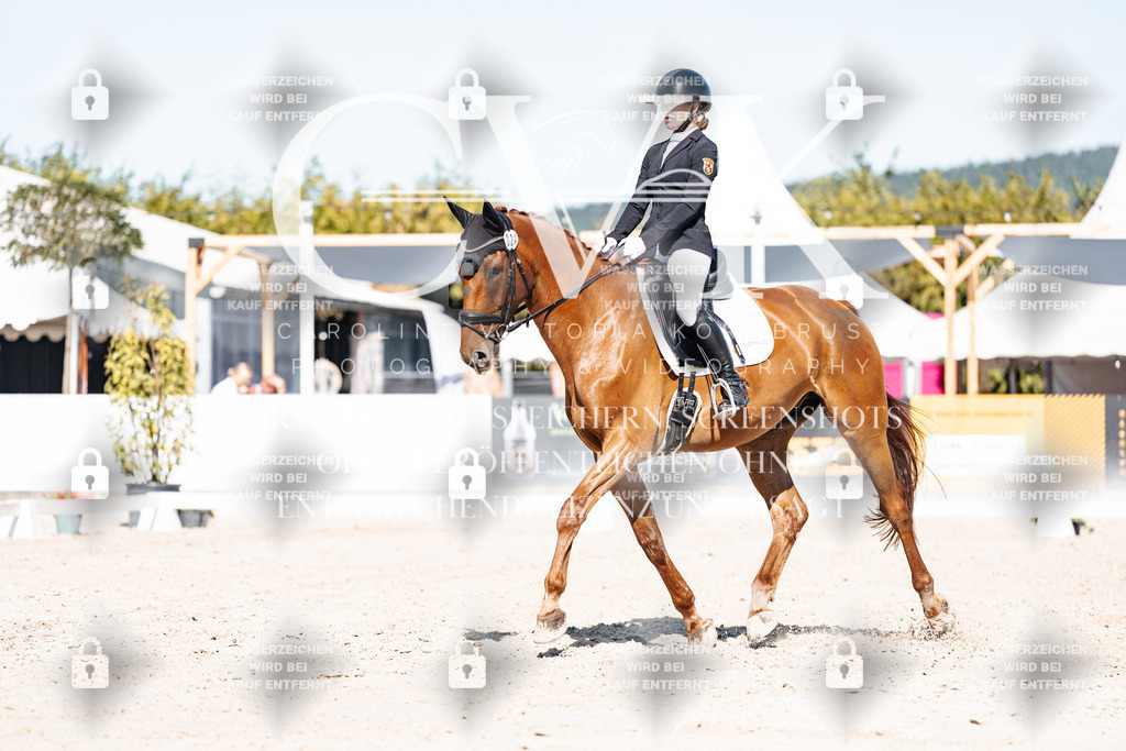 CK908647 | Turnierfotografie Pferdefotografie Trier Rheinland-Pfalz Pferdesport Reitsport Tierfotografie Sportfotografie Pferdevideo Pferdevideografie Equestrianvideography equestrianphotography  - Realisiert mit Pictrs.com