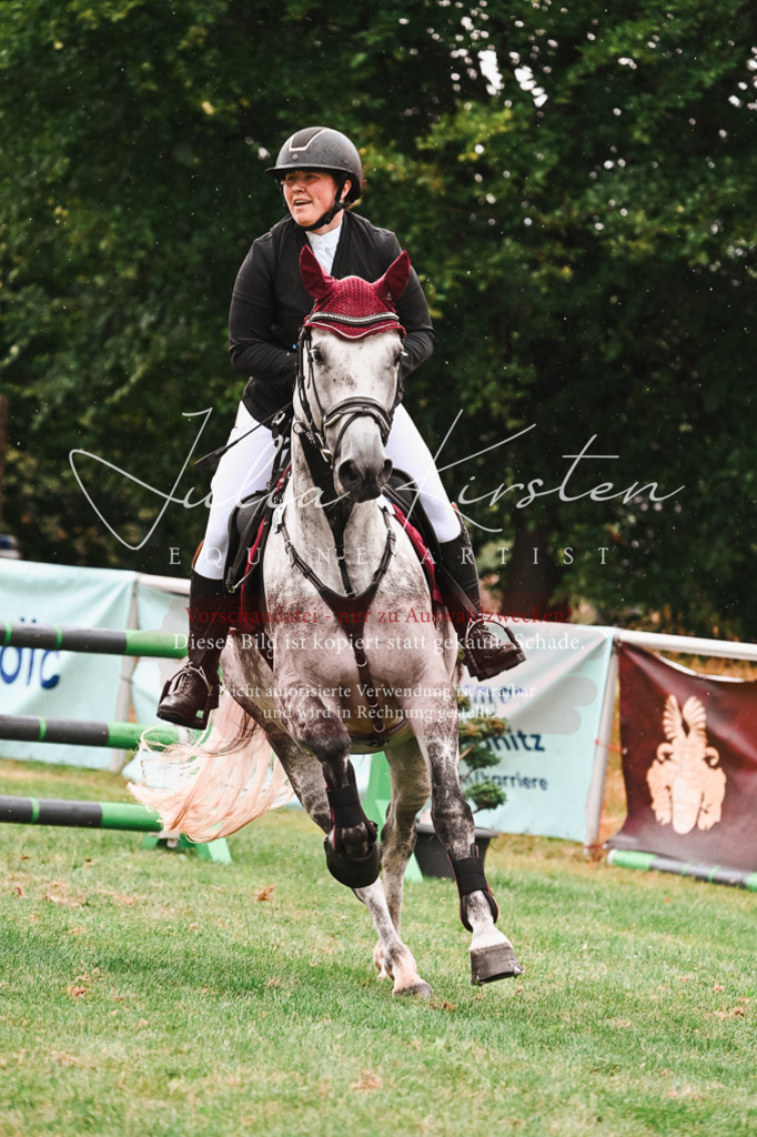 DSC_6364 | Pferde- und Turnierfotografie in Westsachsen. Pferdeportraits, Auftragszeichnungen und intuitive Kunst.