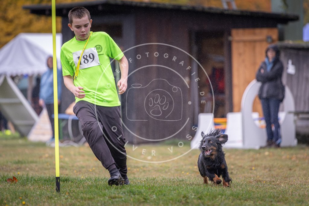 Pfotenfotografie_DV3A9867 | Hundefotografie, Tierfotograf, Pfotenfotografie, Fotoshooting Hund, Hunde Portrait, Hundesport, Hundeportraits, Heideshooting, Hunde, Sportfotograf, Hundefotograf, Turnierhundsport, THS,  - Realisiert mit Pictrs.com