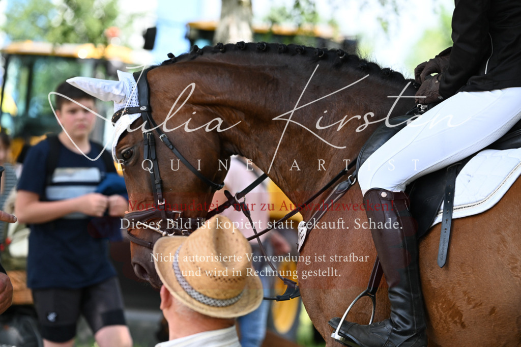 DSC_9492 | Pferde- und Turnierfotografie in Westsachsen. Pferdeportraits, Auftragszeichnungen und intuitive Kunst.