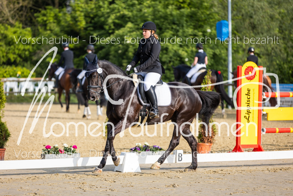 Donop24-A-Dre-022 | MomenTaufnahmen Pferdesportfotos