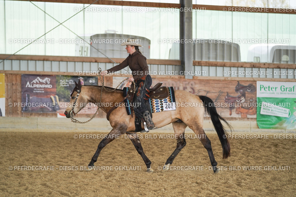 DSC00212 | Pferdegrafie