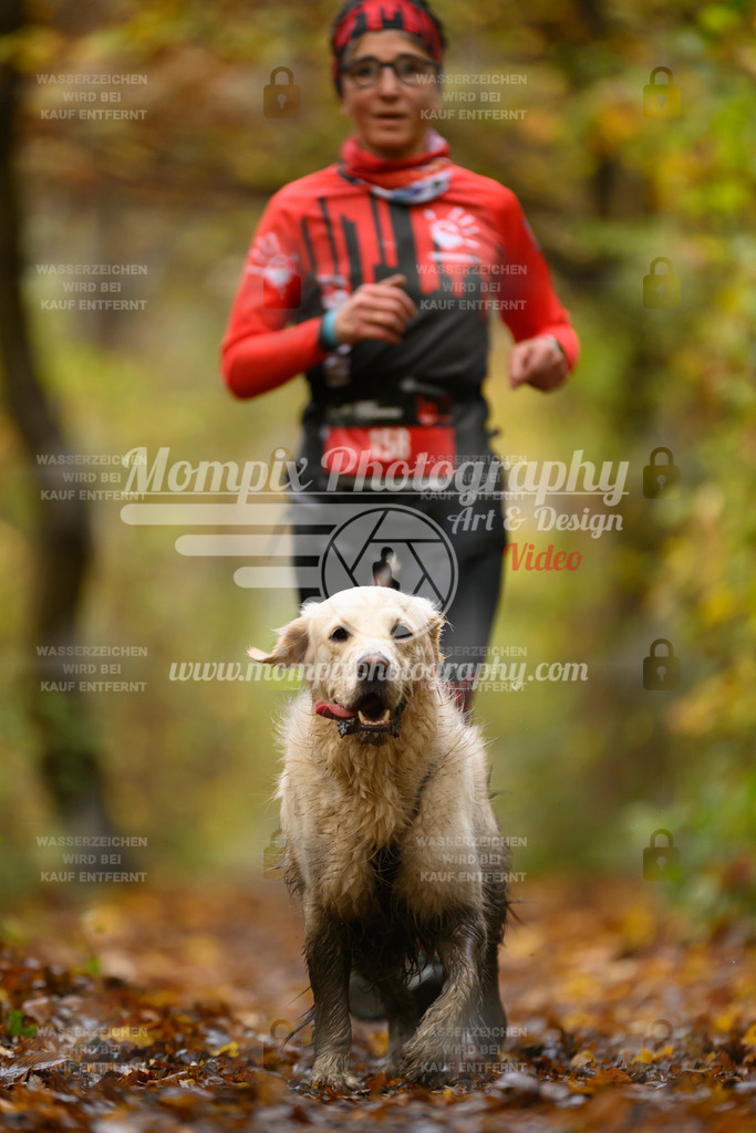 MompixPhotography_CD7S_DI_CCL-169 | mompixphotography