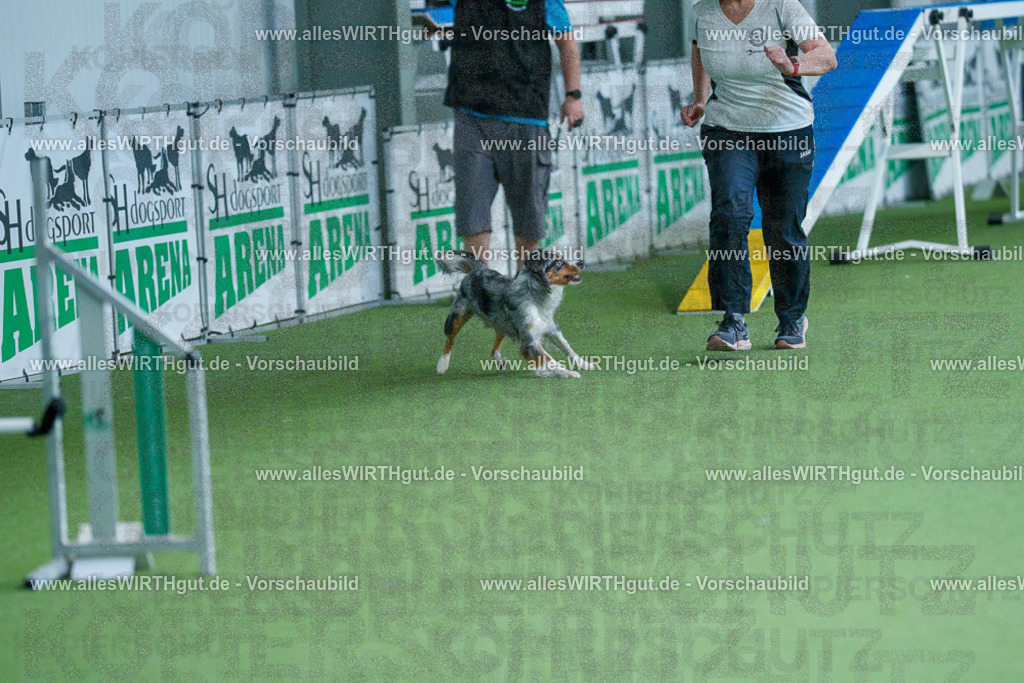 @allesWIRTHgut_Tierfotografie - www.allesWIRTHgut.de - 2604251442-7R505355 | Professionelle Tierfotografie in Mönchengladbach von Daniel Wirth (allesWIRTHgut). Liebevolle & natürliche Bilder von Hunden & Katzen für unvergessliche Erinnerungen.