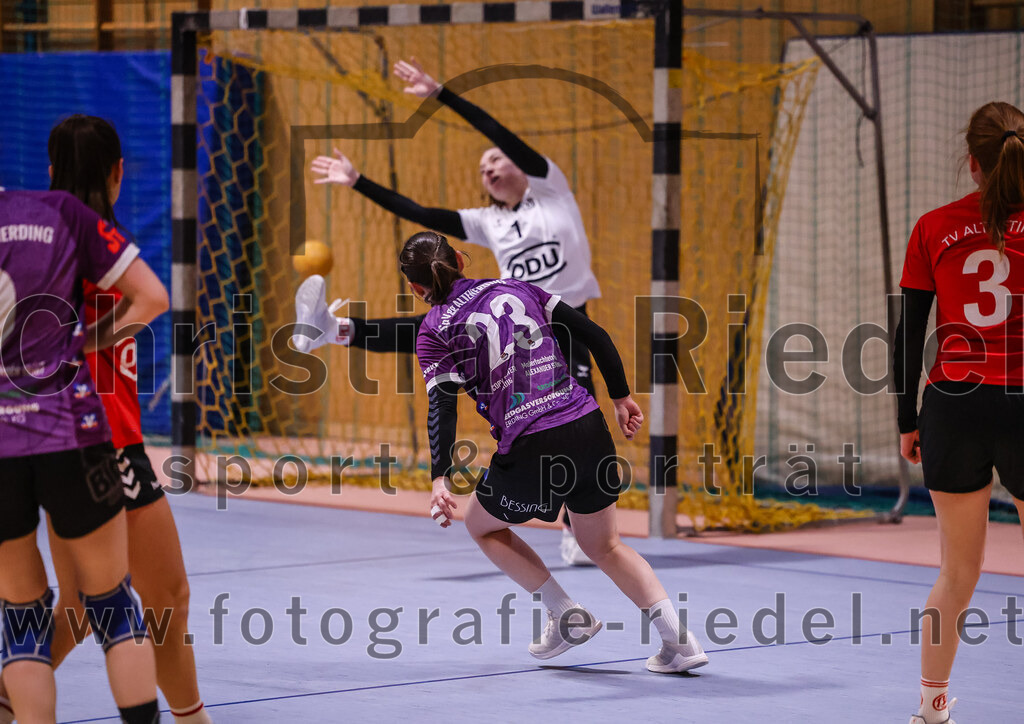 2025-01-18_069_SpVgg_Altenerding_gegen_TV_Altoetting | Erding, Deutschland, 18.01.2025:Handball, Bezirksoberliga Frauen Altbayern 2024 / 2024, 11. Spieltag, SpVgg Altenerding gegen TV Altötting, Endergebnis: 19:24Katharina Künstner (SpVgg Altenerding, #23), Torfrau Verena Maier (TV Altötting, #1), Anna-Maria Niedermaier (TV Altötting, #3)Foto: Christian Riedel / fotografie-riedel.net