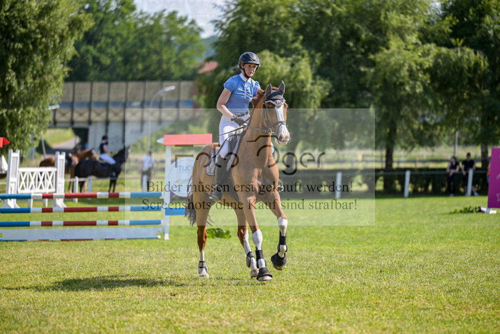 Reitturnier Voxtrup | Entdecke hochwertige Reitturnierfotos von Foto Oger. Professionell, emotional und authentisch – jetzt Lieblingsmomente im Shop bestellen.Deutschlandweite Turnierfotografie. - Realisiert mit Pictrs.com