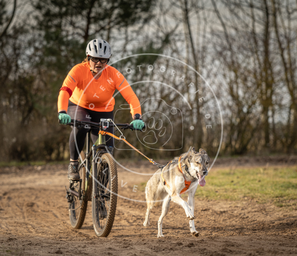 Pfotenfotografie_DV3A8552 | Hundefotografie, Tierfotograf, Pfotenfotografie, Fotoshooting Hund, Hunde Portrait, Hundesport, Hundeportraits, Heideshooting, Hunde, Sportfotograf, Hundefotograf, Turnierhundsport, THS,  - Realisiert mit Pictrs.com