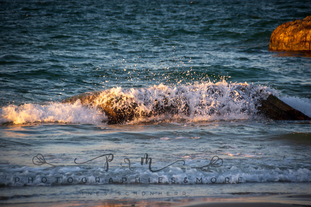 _Sommer2022-0710 | Photographies and more - Realisiert mit Pictrs.com