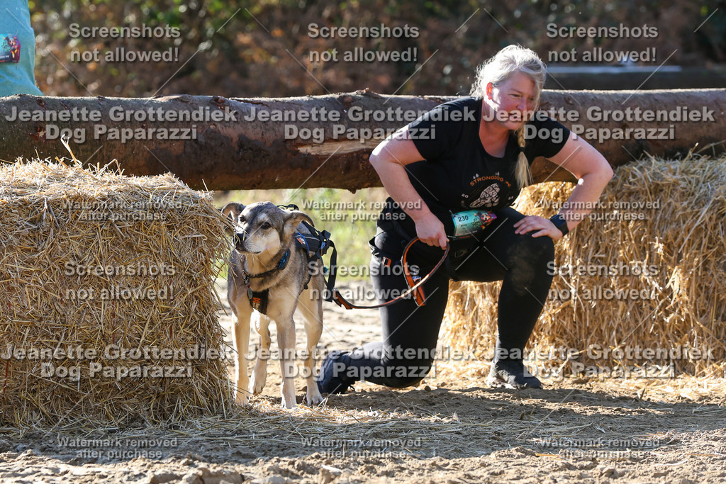 Dog Paparazzi - Strongdog 10-25-6050 | Dog Paparazzi Jeanette Grottendiek Fotografie & Videografie - Realisiert mit Pictrs.com