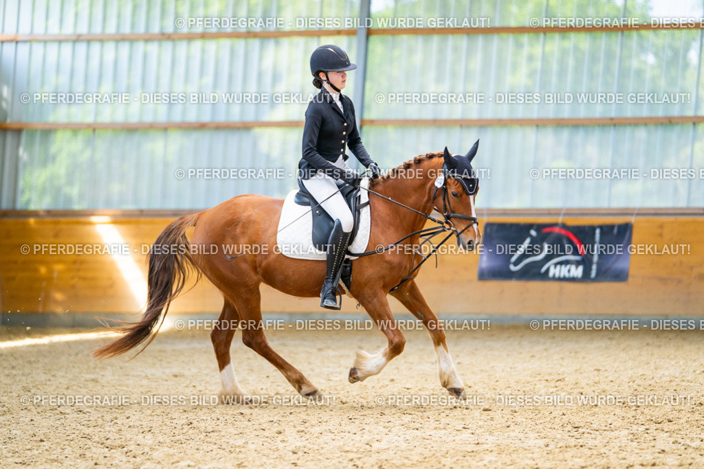 DSC08852 | Pferdegrafie