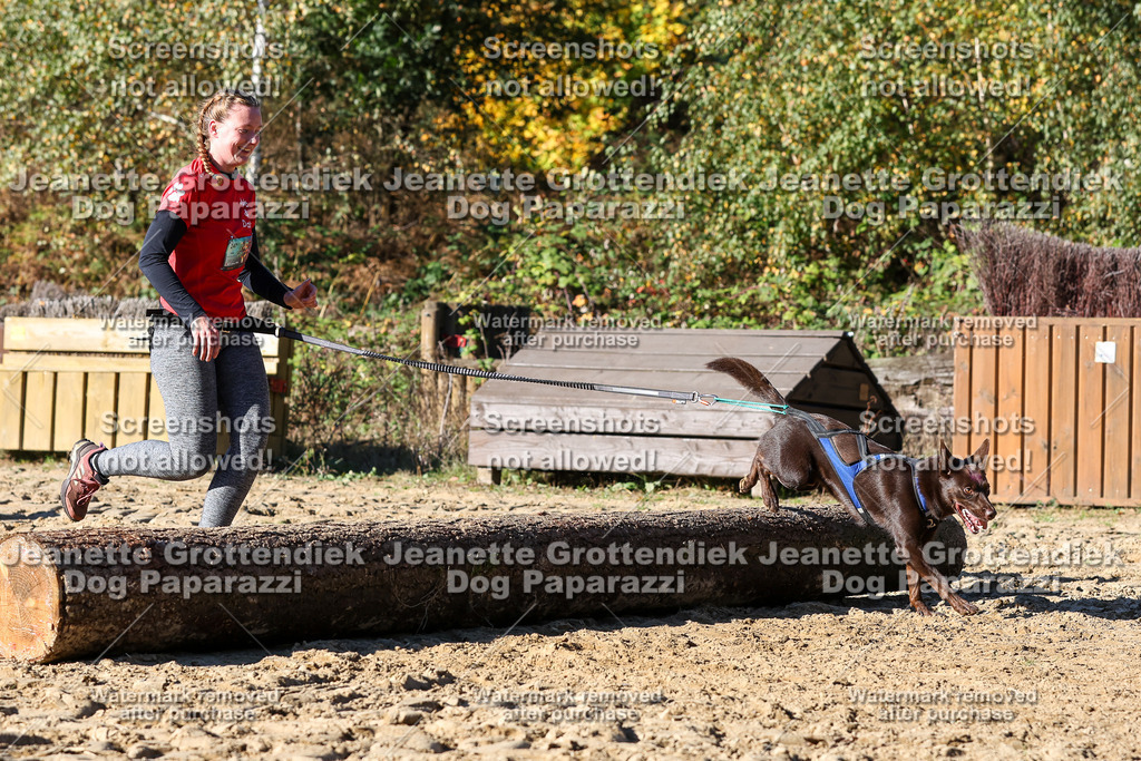 Dog Paparazzi - Strongdog 10-25-2504 | Dog Paparazzi Jeanette Grottendiek Fotografie & Videografie - Realisiert mit Pictrs.com