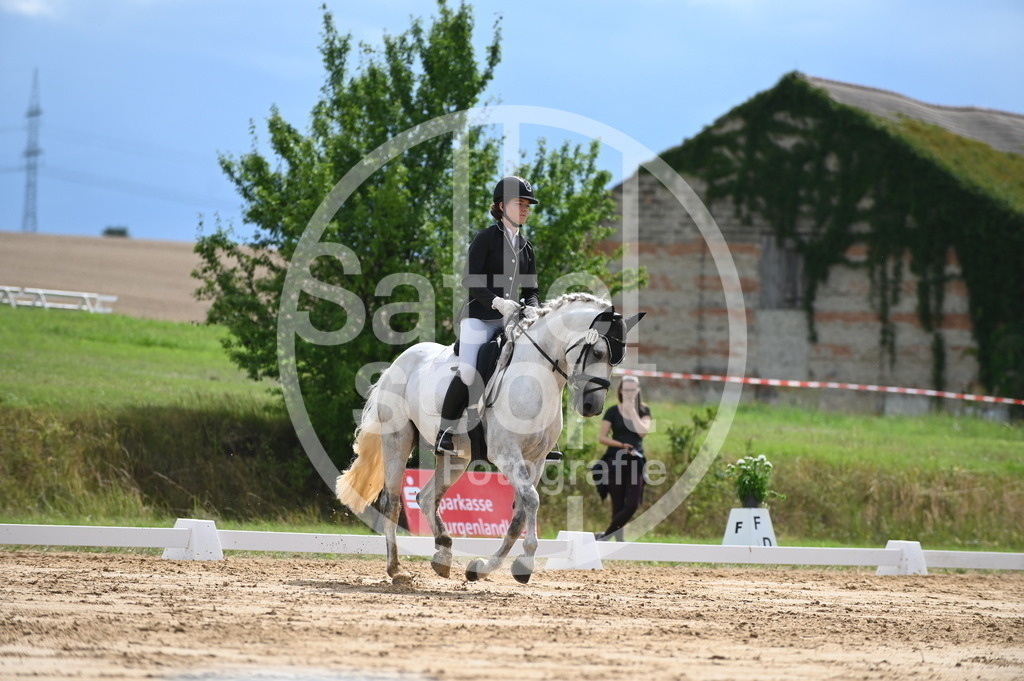 DSC_7581 | sattelsport - Realisiert mit Pictrs.com