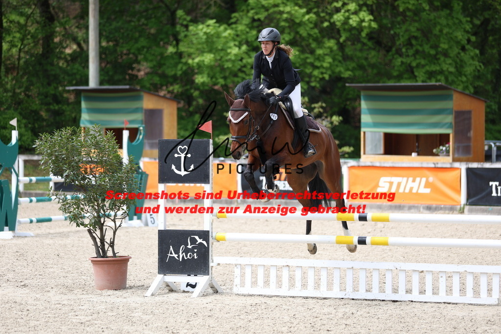 A40A2342 | lmwpictures - Realisiert mit Pictrs.com