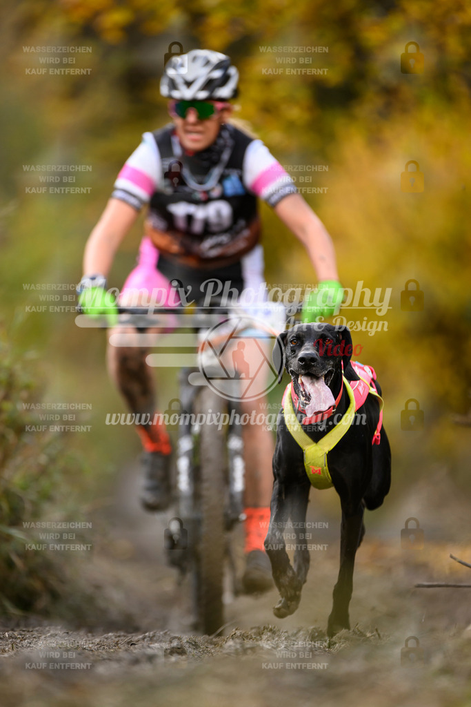 MompixPhotography_ICF_WC_2024_SA_Bike_-263 | PayLife