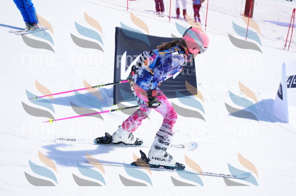 DSC_5140 | holidayphoto