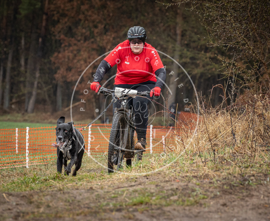 0L8A8859 | Hundefotografie, Tierfotograf, Pfotenfotografie, Fotoshooting Hund, Hunde Portrait, Hundesport, Hundeportraits, Heideshooting, Hunde, Sportfotograf, Hundefotograf, Turnierhundsport, THS,  - Realisiert mit Pictrs.com