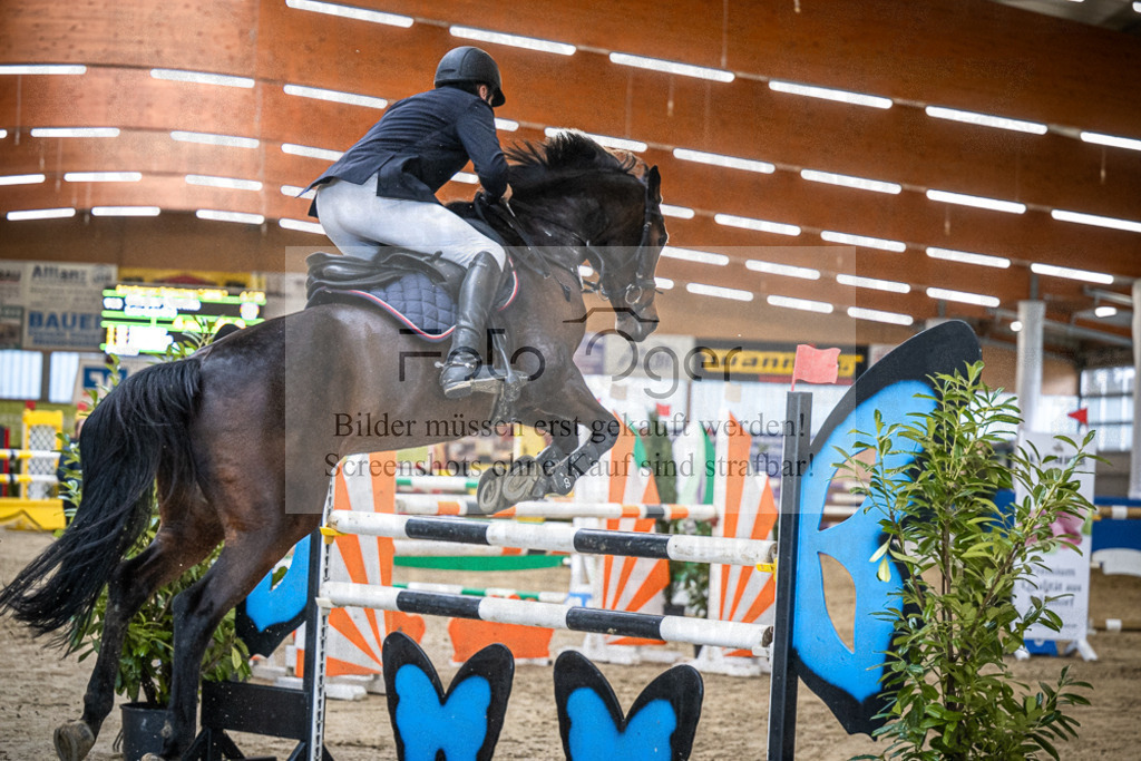 DOS_0363 | Entdecke hochwertige Reitturnierfotos von Foto Oger. Professionell, emotional und authentisch – jetzt Lieblingsmomente im Shop bestellen.Deutschlandweite Turnierfotografie. - Realisiert mit Pictrs.com