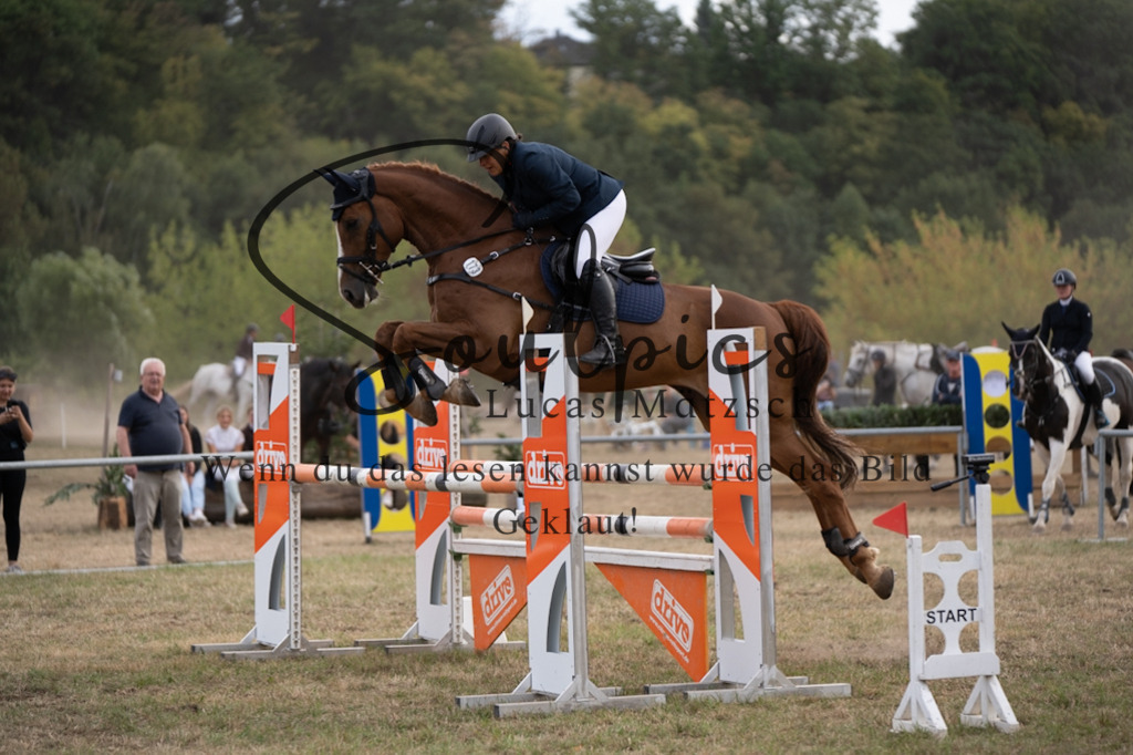 A7V09607 | Pferdefotograf