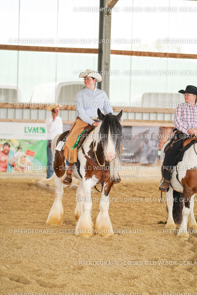 DSC03300 | Pferdegrafie