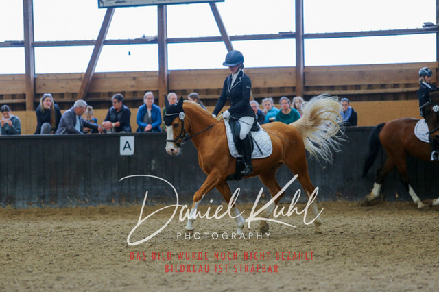 IMG_0555 | Turniersportfotografie; Pferdefotografie; Dressurfotografie