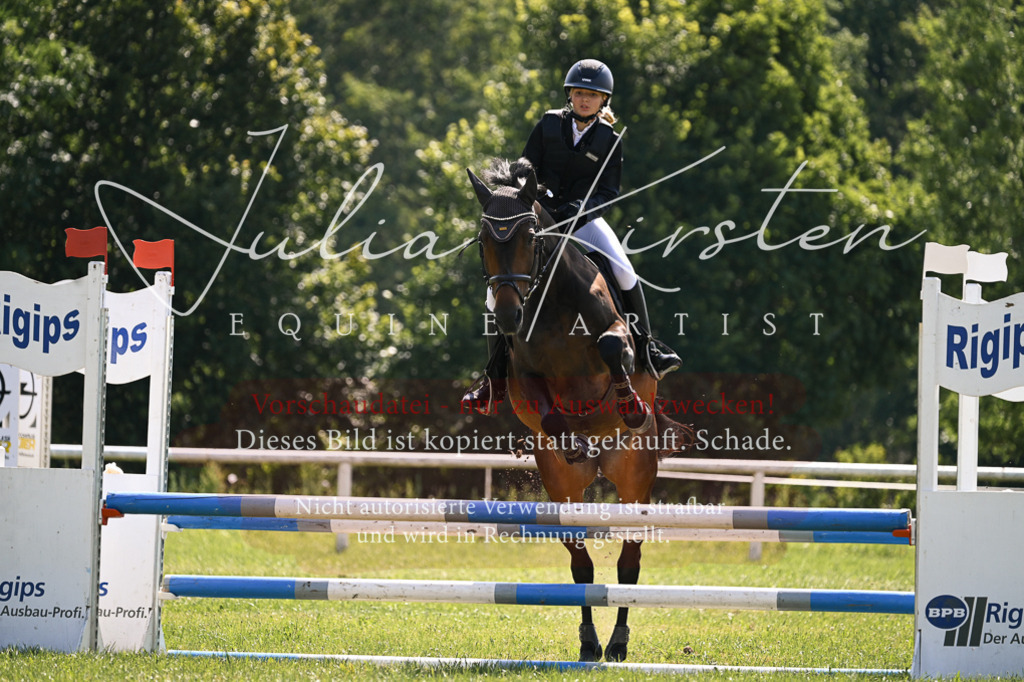 DSC_8959 | Pferde- und Turnierfotografie in Westsachsen. Pferdeportraits, Auftragszeichnungen und intuitive Kunst.
