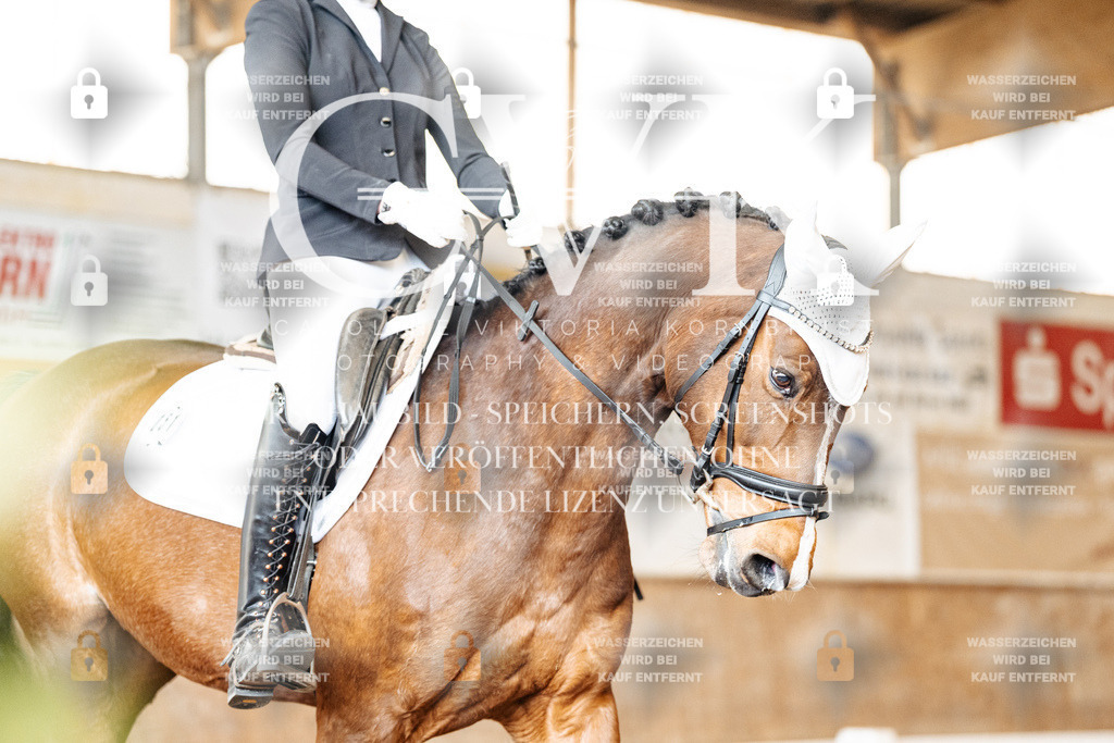 CK900669 | Turnierfotografie Pferdefotografie Trier Rheinland-Pfalz Pferdesport Reitsport Tierfotografie Sportfotografie Pferdevideo Pferdevideografie Equestrianvideography equestrianphotography  - Realisiert mit Pictrs.com