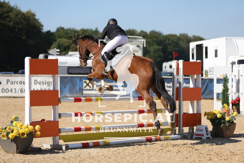 0P6A9891 | Willkommen bei Brunnmayr - Design & Fotografie – Ihrem Spezialisten für Reitturniere und Pferdeveranstaltungen in Oberösterreich, Salzburg und Bayern! Seit über 17 Jahren sind wir leidenschaftlich dabei.
