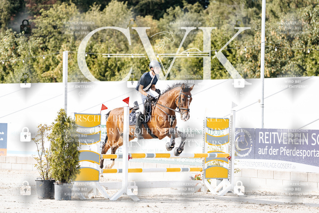 CK905469 | Turnierfotografie Pferdefotografie Trier Rheinland-Pfalz Pferdesport Reitsport Tierfotografie Sportfotografie Pferdevideo Pferdevideografie Equestrianvideography equestrianphotography  - Realisiert mit Pictrs.com