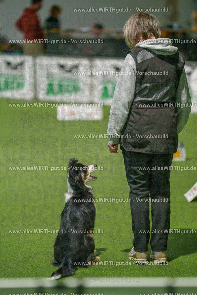 7R508990 | Professionelle Tierfotografie in Mönchengladbach von Daniel Wirth (allesWIRTHgut). Liebevolle & natürliche Bilder von Hunden & Katzen für unvergessliche Erinnerungen.