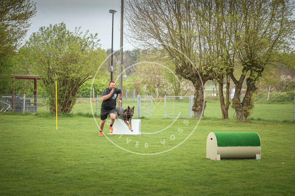 Pfotenfotografie_0L8A9689 | Hundefotografie, Tierfotograf, Pfotenfotografie, Fotoshooting Hund, Hunde Portrait, Hundesport, Hundeportraits, Heideshooting, Hunde, Sportfotograf, Hundefotograf, Turnierhundsport, THS,  - Realisiert mit Pictrs.com