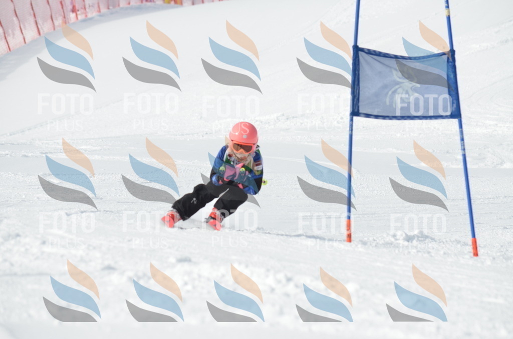 D8571 | holidayphoto