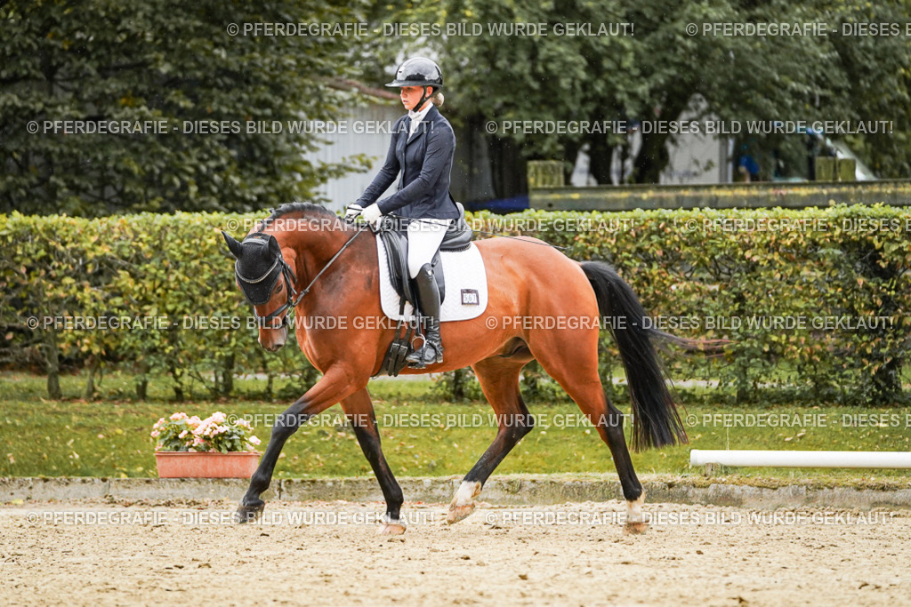 DSC07277 | Pferdegrafie