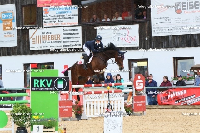 OHT2431 | Fotografie, Tiere, Hunde, Katzen, Pferde, Sportfotografie, Fotosession, Tierfotografie, Turnierfotografie, Fotografin, Fotograf - Realisiert mit Pictrs.com