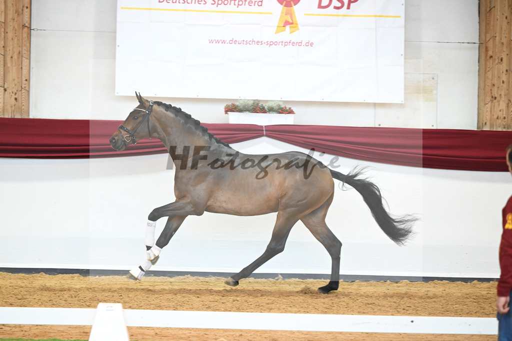 Kat-Nr. 39 v. Jovian_Dahlhoff_66221015 | hf-fotografie - Realisiert mit Pictrs.com