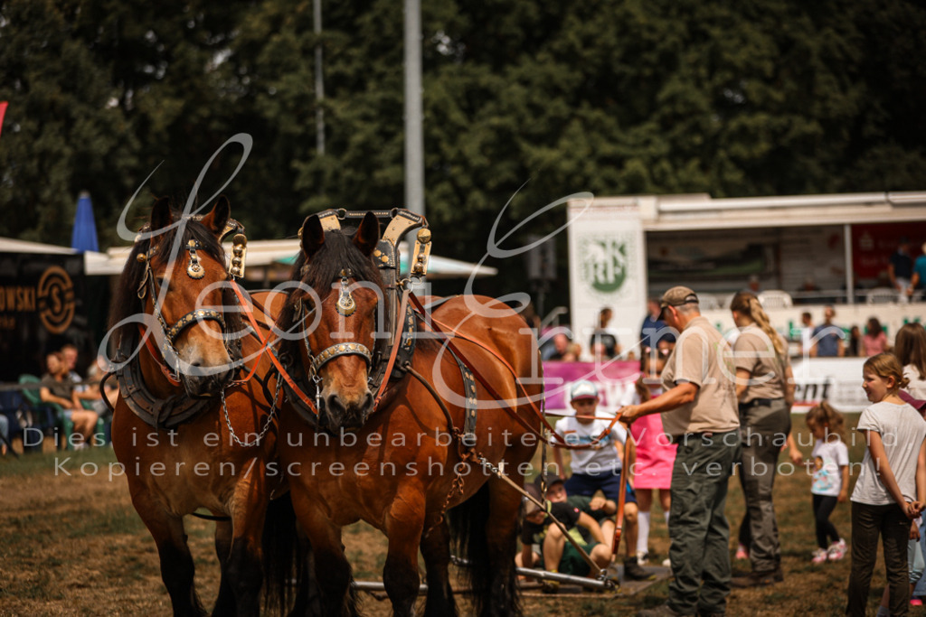 SoShow00250 | Leoni Ertmer Photography - Realisiert mit Pictrs.com