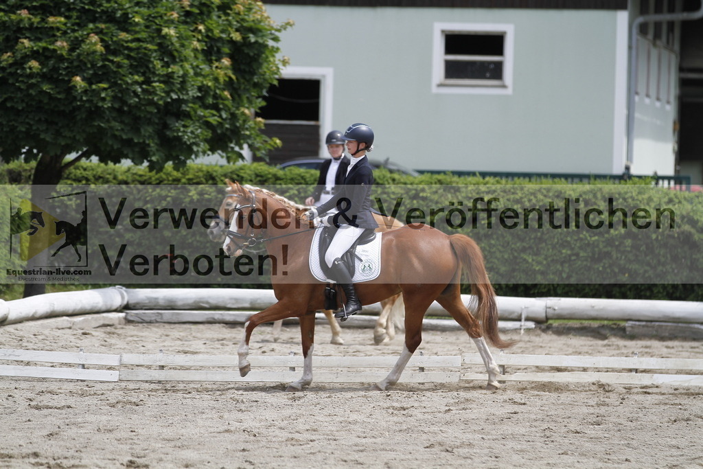 _MG_8822 | equestrian-live-com